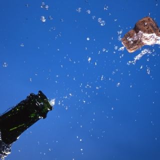 Buzos hallan el champán más antiguo del mundo en barco hundido