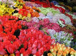 El tema principal y requisito para el premio son las flores. ESPECIAL  /