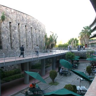 El CUCSH abre diplomado de Historia