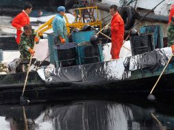 Un grupo de trabajadores recoge petróleo que flota en el mar en un área de 50 kilometros cuadrados. EFE  /