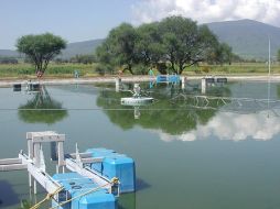 Aspecto de una planta de tratamiento de aguas. ARCHIVO  /