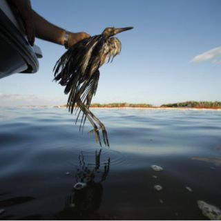 Potencias se reúnen en EU para analizar uso de energías alternativas