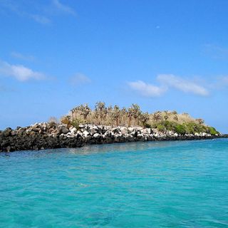 Galápagos celebra premio de ''Mejor isla'' por revista líder de viajes