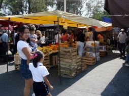 En Zapopan tienen registrados 75 tianguis, pero han detectado 12 más que operan de manera irregular. A. GARCÍA  /