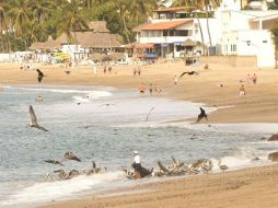 El recorrido de Guadalajara a Puerto Vallarta disminuirá dos horas con la nueva vía. ARCHIVO  /