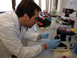 Para el tratamiento, se debe localizar la nanopartícula dentro del cuerpo humano. EFE  /