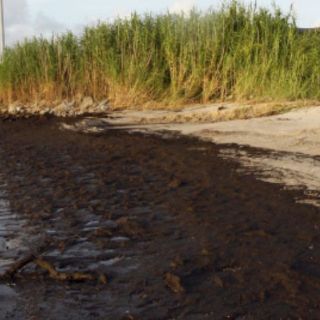 Destinarán 37 MDD en México para detección de crudo por derrame