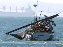 El cetáceo golpeó la embarcación, partiendo el mástil en dos. EFE  /