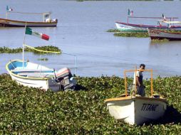 La Setujal afirma que la pesca deportiva en Jalisco está desaprovechando su potencial turístico.EL UNIVERSAL  /