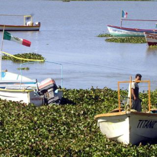 Jalisco desaprovecha su potencial en pesca deportiva