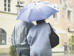• Temporada de lluvias 2010. THINKSTOCK. • Ayuda a afectados de Alex. ESPECIAL.  /