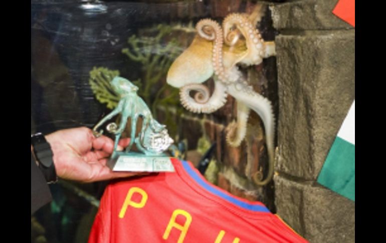 El cefalópodo con una estatilla de bronce de él mismo. REUTERS  /