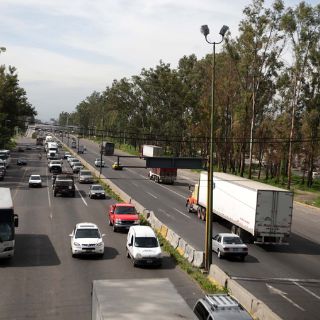 Estudio de la UdeG revela alto riesgo por arbolado en el Periférico