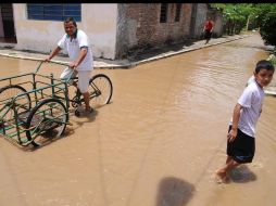 Se registran daños a los cultivos de maíz, frijol y otras leguminosas en los municipios de Texistepec, Jaltipan y Acayucan.EL UNIVERSAL  /