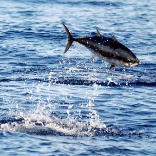 Registra México déficit comercial