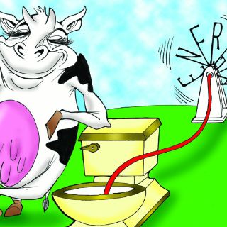 Las vacas, energía que mueve tractores