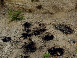 La fosa clandestina se localiza en un paraje solitario del municipio de Benito Juárez. EFE  /