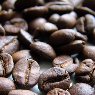 Impulsan nuevas técnicas para elevar calidad del café