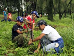 Decenas de familias se dieron cita al bosque donde se plantaron 500 árboles. E. PACHECO  /