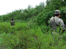 Elementos del Ejército Mexicano se enfrentaron hoy contra un grupo armado en el municipio de Los Herrera. AP  /