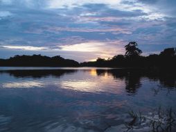 Leticia es el puerto de acceso a la rica región selvática colombiana con el Amazonas.  EL UNIVERSAL  /