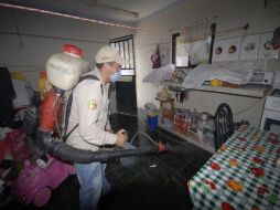 La fumigación es una manera de combatir al dengue. NOTIMEX  /
