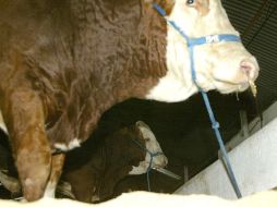 El delegado de la SAGARPA busca que la ley se respete. ARCHIVO  /