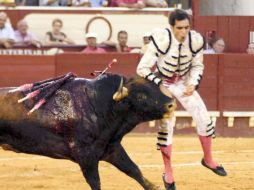 Arturo Macías sufre una cornada en Cadiz, España. EFE  /