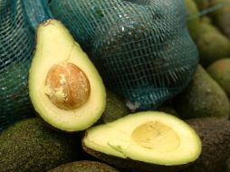 El aguacate jalisciense se exporta de manera directa a países como Canadá y Japón. ARCHIVO  /