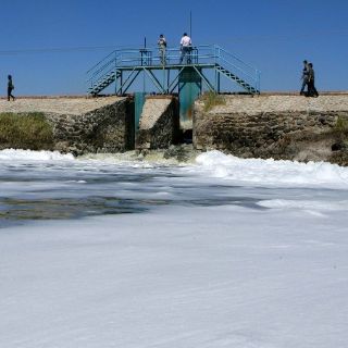 Proponen académicos crear asociaciones contra el cambio climático