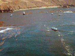 Será el único laboratorio a nivel nacional que realice análisis de este tipo. ESPECIAL  /