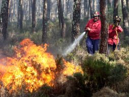 Bomberos y militares tratan de controlar los 30 incendios. EFe  /