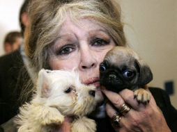 Además de sus actuaciones en cine, Briggite Bardot es conocida por su amor hacia los animales. AFP  /