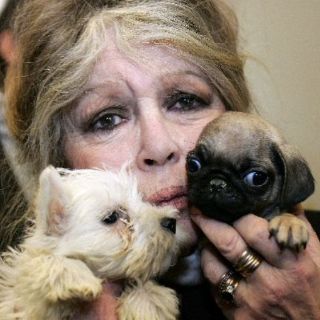 Brigitte Bardot contenta por prohibición de corridas de toros en Cataluña