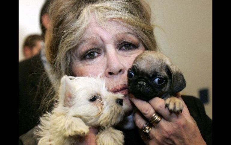 Además de sus actuaciones en cine, Briggite Bardot es conocida por su amor hacia los animales. AFP  /