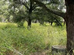 De llevarse a cabo el proyecto se afectaría el polígono natural ubicado en el Bosque del Arce. ARCHIVO  /