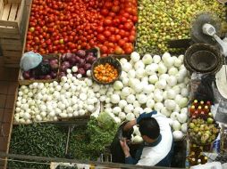La UCMA asegura que las lluvias de este año no han afectado el cultivo de alimentos y , por lo tanto, tampoco sus precios. ARCHIVO  /