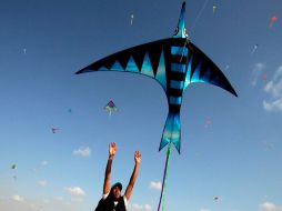 Mientras tanto, unos siete mil niños palestinos volaron cometas para conseguir el récord mundial en Gaza. EFE  /