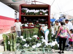 Actualmente la descarga de flores se realiza sobre la calle Mezquitán, que cuenta con reducido espacio para esta labor. M. FREYRÍA  /