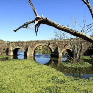 Zapotlanejo propone Parque Nacional en Puente de Calderón