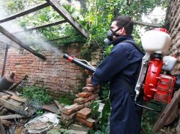 El trabajo de los abates se ha ampliado, incluyendo los cementerios y lotes baldíos. ARCHIVO  /