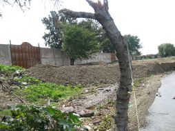 Vista exterior de una de las fincas que habían sido clausuradas por la Conagua por invadir la ribera del Lago de Chapala. I. DE LOZA  /