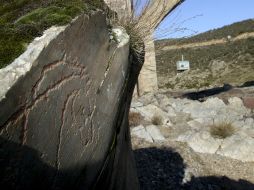 En estos grabados se pueden apreciar figuras de caballos, ciervos y cabras. EFE  /