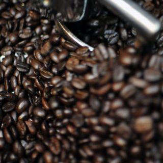 México confía aumentar demanda mundial de café