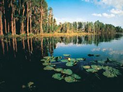 Esa reserva natural está cubre unos 224 mil kilómetros cuadrados. ESPECIAL  /