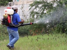 La Secretaría de Salud de Colima realiza acciones de fumigación para prevenir el incremento de casos de dengue. EL UNIVERSAL  /