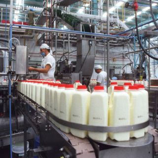 Avanza anteproyecto de una secadora de leche