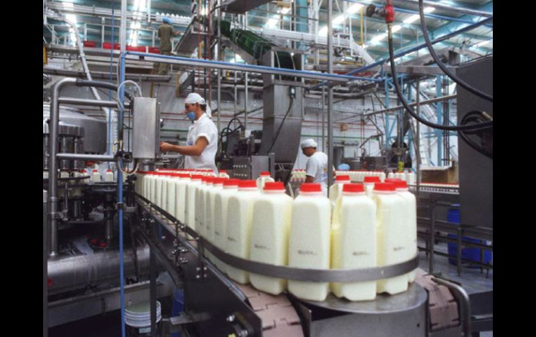 Jalisco es  líder en la producción lechera del país. ARCHIVO  /