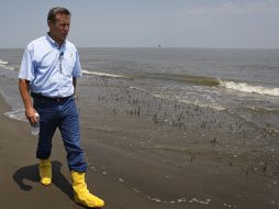 El inventario de vida marina en el Golfo de México es el primer censo autorizado de la vida mar adentro. AP  /