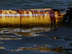 El vertido en el Golfo es de 780 millones  de litros. AP  /